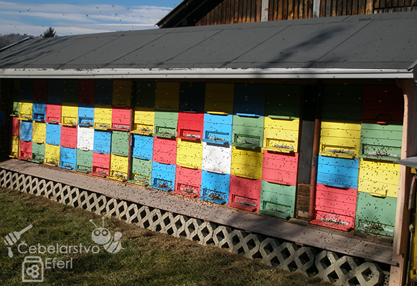 Čebelarstvo eferl čebelnjak 